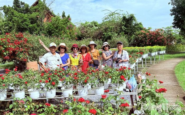 Khu du lịch Vườn hồng Tư Tôn (phường Sa Đéc) tạo điểm nhấn riêng với du khách.