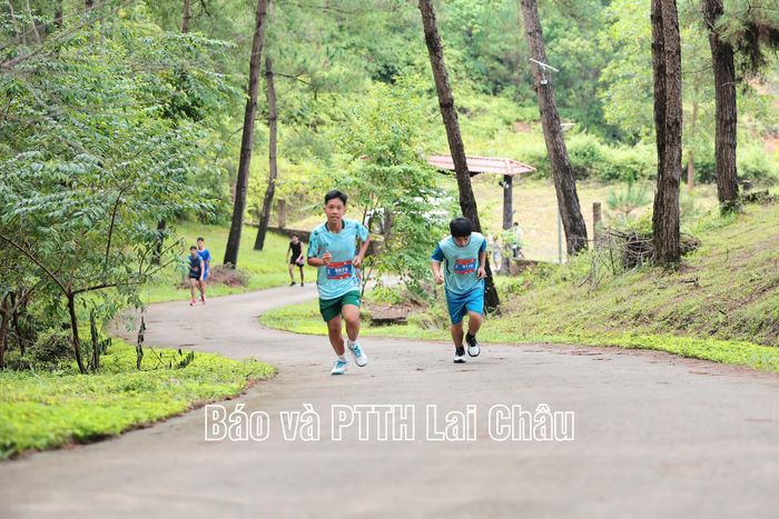 Các vận động viên tham gia giải chạy ở cự ly 5km.