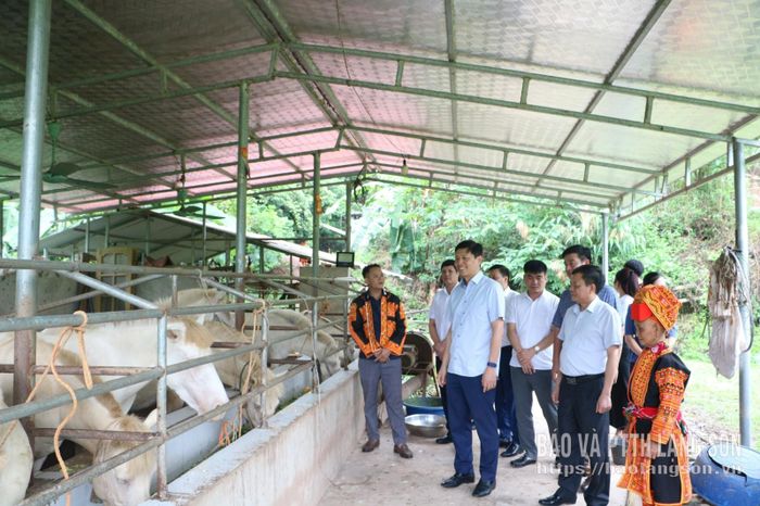 Đoàn công tác của tỉnh do đồng chí Vũ Hoàng Anh, Phó Bí thư Tỉnh ủy làm trưởng đoàn tham quan mô hình chăn nuôi ngựa bạch của người dân tại xã Xuân Dương