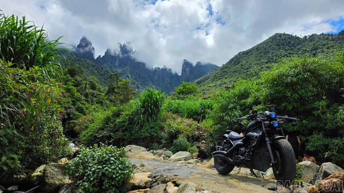 Đồi hoa cách nhà thờ đá Sa Pa khoảng 26 km. Tuy nhiên đường đến đây còn nhiều đoạn khó đi. Để tiếp cận điểm đến, du khách nên sử dụng xe máy với số thấp hoặc ô tô gầm cao, phù hợp với điều kiện địa hình.