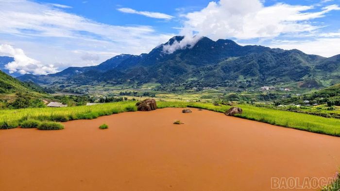 Ngay cạnh đồi hoa là một hồ nước tạo thêm điểm nhấn cho không gian trải nghiệm. Đồi hoa hiện là điểm hoa tự nhiên, chưa được công nhận là điểm du lịch nên du khách có thể tự do tham quan, trải nghiệm và không phải trả phí.