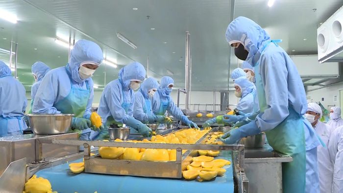 Nhiều nông sản của Lâm Đồng chưa mang lại giá trị nhiều cho ngân sách nhà nước