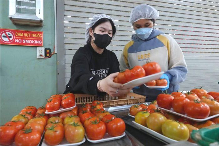 Cùng với nguồn thu truyền thống, Lâm Đồng phải tìm giá trị mới ở chính thế mạnh là xuất khẩu trong nông nghiệp