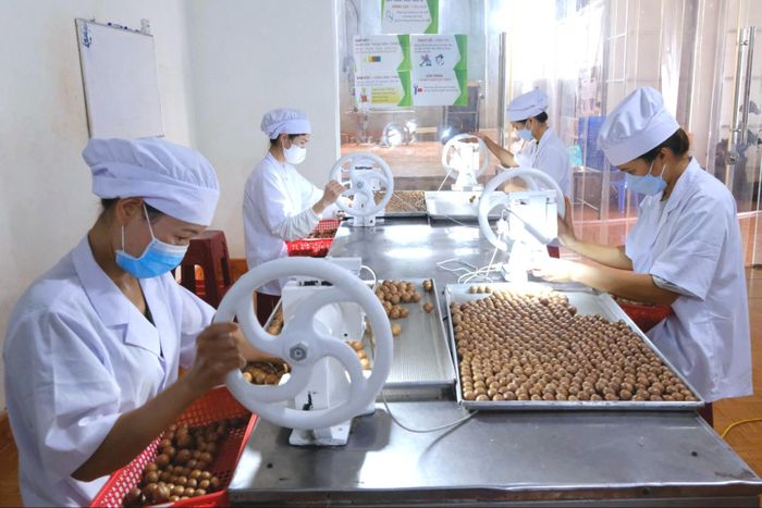 Lâm Đồng cần vận động các đơn vị, doanh nghiệp xuất khẩu lớn làm thủ tục thông quan qua các cửa khẩu tại Lâm Đồng