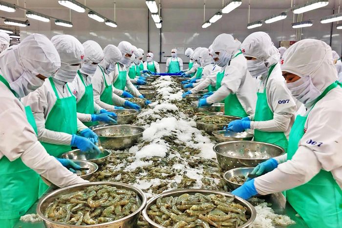 Việt Nam xuất khẩu lớn về nông sản, thực phẩm, dệt may, đồ gỗ nhưng nhiều sản phẩm vẫn mang thương hiệu của nhà nhập khẩu, phân phối hoặc doanh nghiệp nước ngoài.
