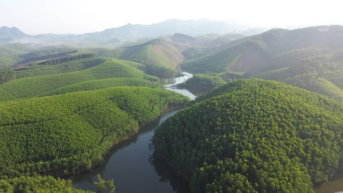 Cuối năm 2025, tỉnh Nghệ An giao hơn 202.000 ha rừng cho 27.339 hộ dân quản lý. Ảnh: Nguyễn Công