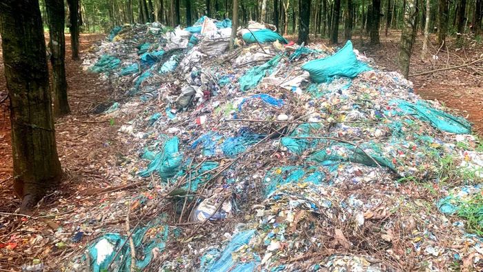 Số rác thải phát hiện tại vườn cao su.