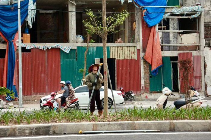 Cây xanh, đèn chiếu sáng cũng đang được khẩn trương hoàn thiện.