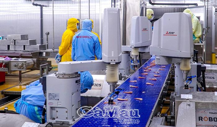Nhiều khâu sản xuất tại Công ty TNHH Chế biến thuỷ sản Minh Phú Khánh An được tự động hoá, góp phần nâng cao năng suất và giảm sức lao động thủ công.