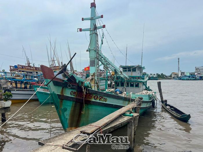 Một tàu cá không đủ điều kiện vươn khơi, đang neo đậu tại khu vực khóm 1, xã Sông Đốc.