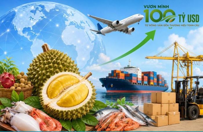 Nếu đẩy mạnh chế biến sâu, tạo ra các sản phẩm có giá trị gia tăng cao và xây dựng được những thương hiệu riêng của Việt Nam, giá trị xuất khẩu có thể tăng gấp nhiều lần so với hiện nay
