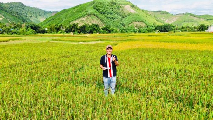 Qua theo dõi cho thấy chiều dài bông đạt 18,89 cm