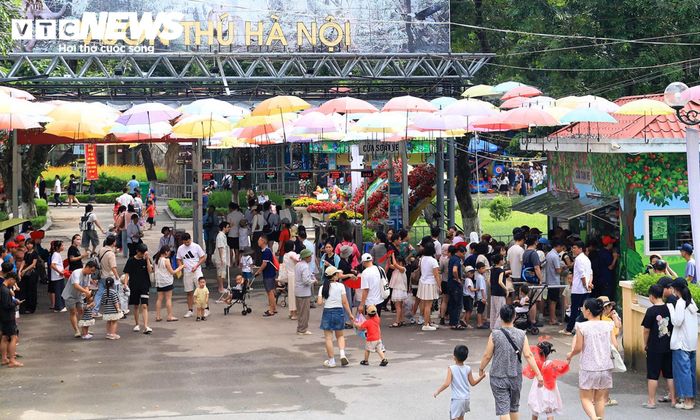 Vườn thú Hà Nội cũng là điểm vui chơi được nhiều gia đình lựa chọn trong những ngày đầu của kỳ nghỉ Quốc khánh. Từ sáng sớm, khu vực bán vé đã có rất đông người xếp hàng.