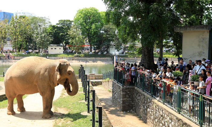 Với các em nhỏ, đây là cơ hội trực tiếp quan sát những loài vật vốn thường chỉ được biết qua sách báo hoặc truyền hình.
