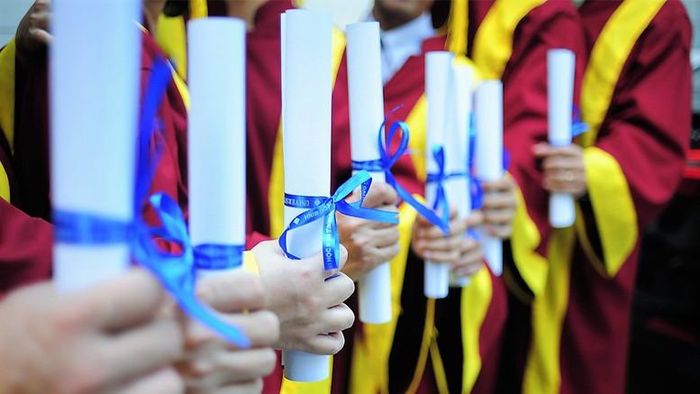 Chương trình áp dụng đối với nghiên cứu sinh trúng tuyển theo học chương trình đào tạo tiến sĩ ở trong nước thuộc các ngành, nhóm ngành, lĩnh vực ưu tiên phục vụ phát triển nguồn nhân lực chất lượng cao.