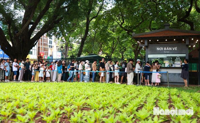 Theo ghi nhận, từ đầu giờ sáng ngày 31-8, dòng người từ mọi nơi đã đổ về xếp hàng mua vé vào tham quan Văn Miếu. Dù đông người nhưng việc mua vé diễn ra trong trật tự, quy củ.
