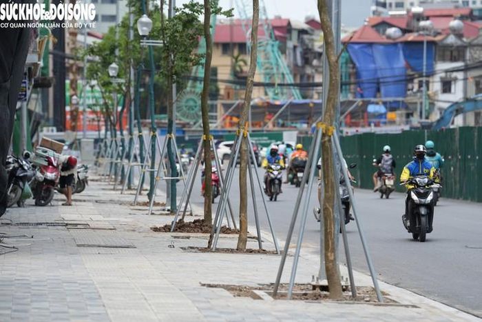 Hệ thống chiếu sáng trên giải phân cách, hai bên đường trên nhiều đoạn tuyến cũng đã được lắp đặt.