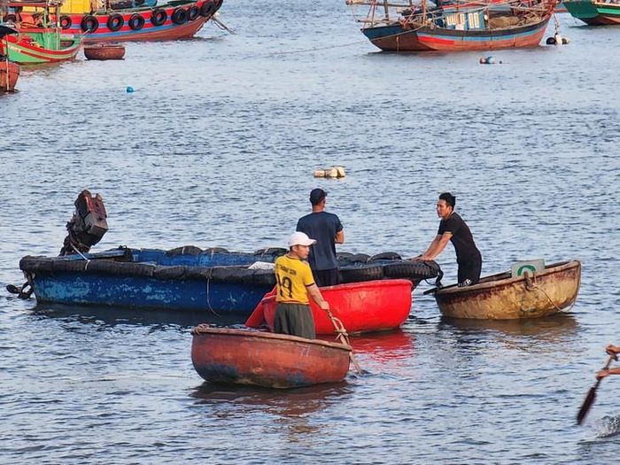 Một trong những trải nghiệm thú vị: thức dậy sớm, ngắm cảnh ngư dân kéo lưới, thu hoạch hải sản sau chuyến biển. Ảnh: Ngọc Hưng.
