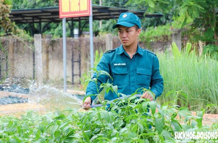 Phong trong một buổi tăng gia sản xuất tại Ban CHQS phường Ba Ngòi. Ảnh: Duy Ngọc.