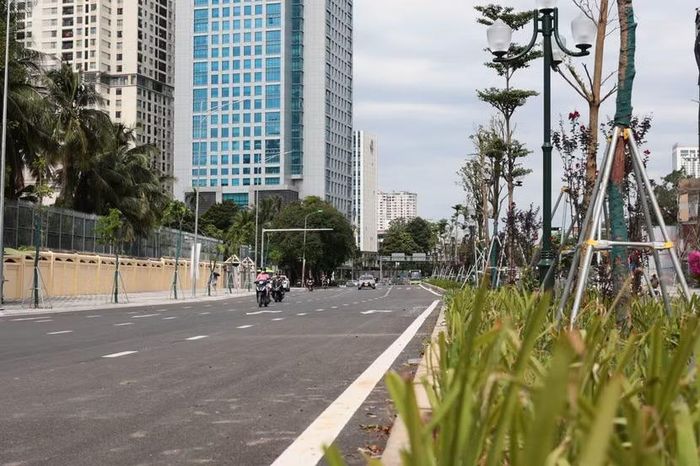 Các trụ đèn chiếu sáng và hàng cây xanh bên vỉa hè được cố định bằng khung giằng thép chắc chắn dọc theo hướng nhìn về các khối nhà cao tầng.