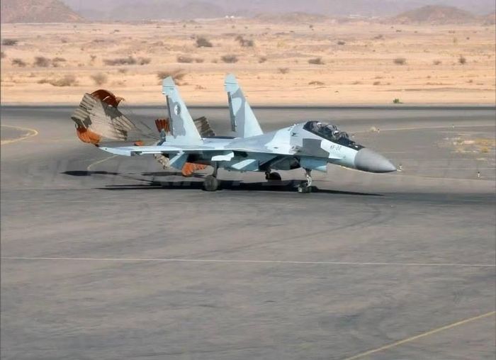 Trước khi hạ cánh xuống Niamey, các tiêm kích Su-30MKA đã bay qua thủ đô. Thủ tướng Niger Mahama Lamine Zeine đích thân gặp gỡ phi hành đoàn và cảm ơn Algeria về sự hỗ trợ quân sự.