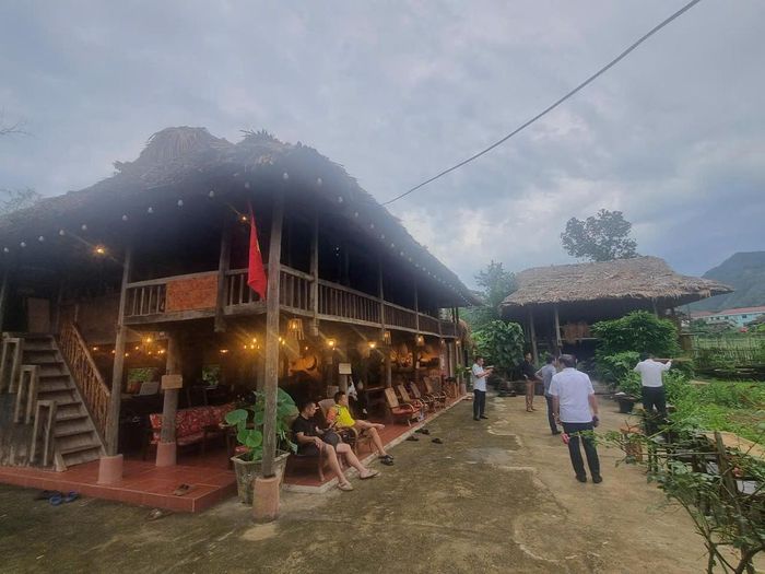 Quán cà phê của Vương và cộng sự gần gũi với thiên nhiên. Ảnh: N.H.