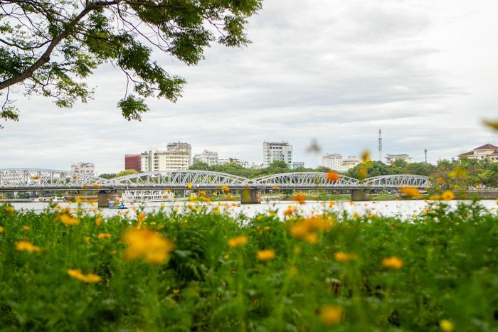  Bãi cỏ dài khoảng 1 km dọc bờ Bắc sông Hương, từ cầu Phú Xuân đến cầu Trường Tiền, được Đoàn Thanh niên Công ty Công viên Cây xanh TP. Huế chỉnh trang, dọn dẹp và chăm sóc từ tháng 5/2025. Từ đó, khu vực này trở thành điểm đến được người dân, du khách lựa chọn để hóng mát, ngắm hoàng hôn mỗi chiều. 