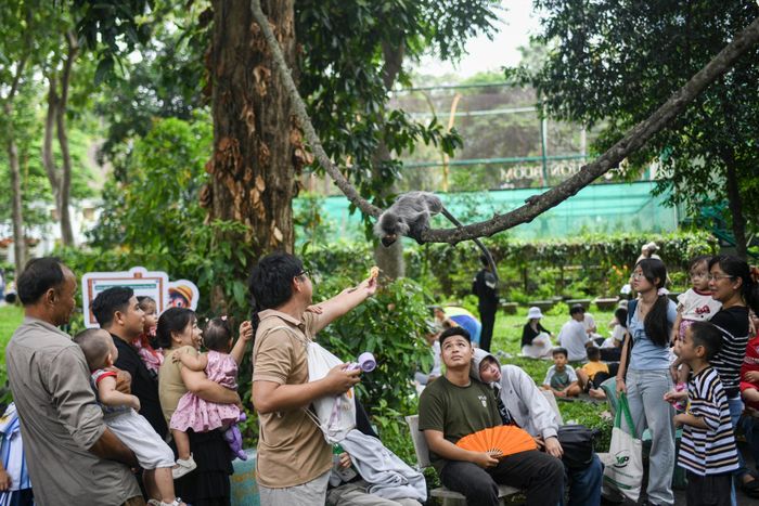  Đến đầu giờ chiều du khách tham quan tại Thảo Cầm Viên vẫn khá đông. Nơi đây là địa điểm lui tới của nhiều người dân TP.HCM trong các dịp nghỉ lễ, cuối tuần. Kỳ nghỉ lễ 2/9 năm nay kéo dài 5 ngày (29/8-2/9). 