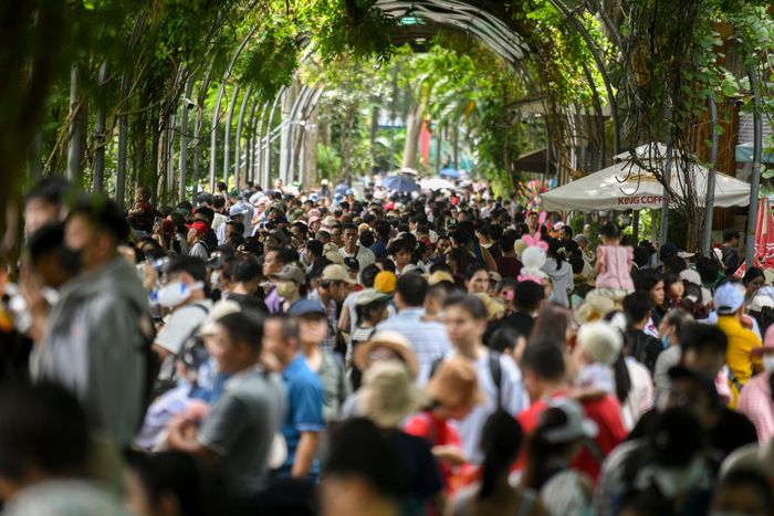  Thời tiết dịp nghỉ lễ 2/9 tại TP.HCM mát mẻ, có nắng nhẹ. Không gian thoáng đãng với nhiều mảng xanh ở Thảo Cầm Viên thu hút nhiều gia đình đưa trẻ nhỏ đến vui chơi. 