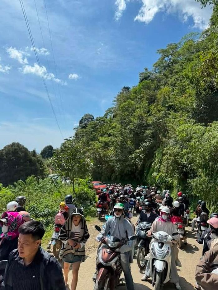 Kỳ nghỉ lễ 2/9 kéo dài 5 ngày tạo điều kiện thuận để du khách vui chơi tại Tà Xùa (Sơn La). Ảnh: Lù Anh Súa, Pơ Mu Homestay.