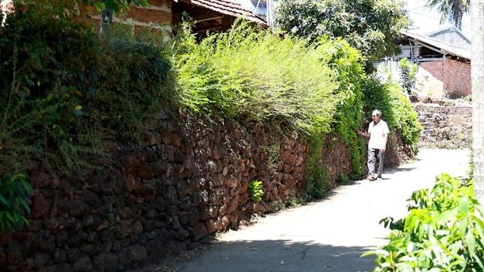 Những dấu tích đá ong còn hiện diện trên các bờ tường, cổng ngõ ở xóm Hải Nam
