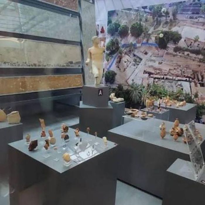 Cổ vật được trưng bày trong triển lãm "Twenty Years of Excavations in Shallalat Gardens (2006–2026)". Ảnh: Internet