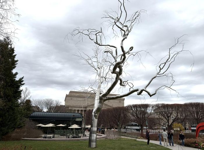 Tác phẩm “Graft” của nghệ sĩ Mỹ Roxy Paine. Cao khoảng 13,7m, tác phẩm được làm bằng thép không gỉ và bê tông, mô phỏng một thân cây với hai hệ cành đối lập – một bên trật tự, một bên xoắn vặn – gợi sự giao thoa giữa tự nhiên và nhân tạo.