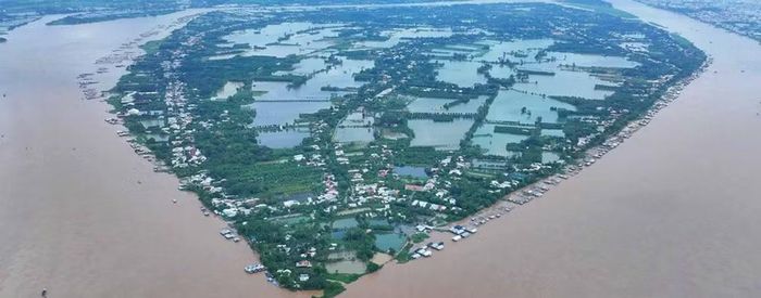 Cù lao Mỹ Hòa Hưng bốn phía được sông Hậu bao bọc.