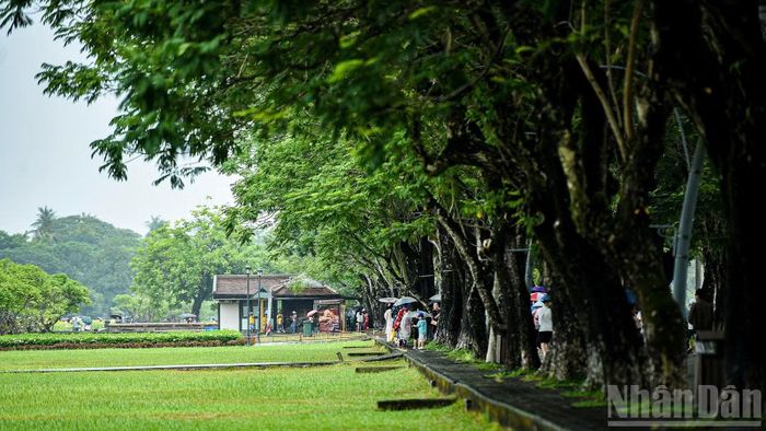 Vẻ đẹp trầm mặc của Huế trong mưa. (Ảnh: THANH TÂM)