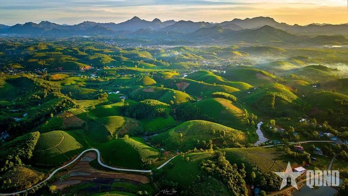 Bình minh tại đồi chè xã Long Cốc. 