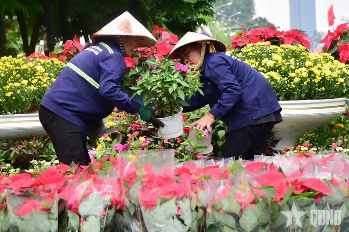 Nhân viên trang trí thêm hoa tại công viên trước Nhà hát Thành phố. 
