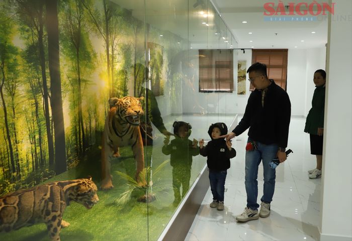 Bảo tàng là nơi giáo dục và phổ biến kiến thức về đa dạng sinh học. Ảnh: ĐOÀN KIÊN