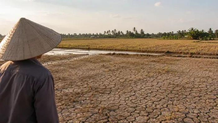 Theo dự báo trong tháng 9, Nam bộ ít mưa. Ảnh minh họa có sử dụng AI
