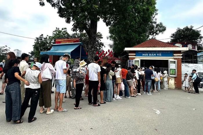 Vườn thú Hà Nội chứng kiến cảnh người dân xếp hàng dài để vào vui chơi, tham quan, ngắm những loài động vật.