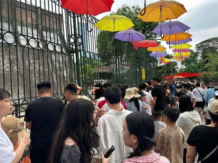 Tại các chuồng thú, nhiều gia đình cho các bạn nhỏ tới để ngắm những loài như hồ, sư tử, gấu, voi...