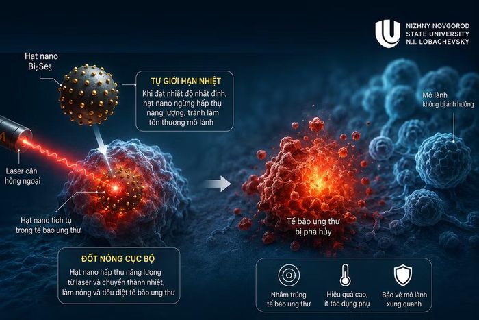 Cơ chế gia nhiệt và tiêu hủy tế bào ung thư của vật liệu nano mới.