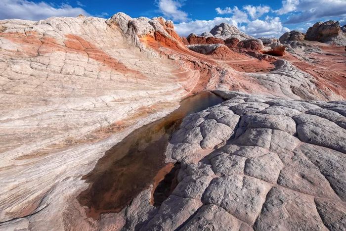 Ảnh: Bureau of Land Management 