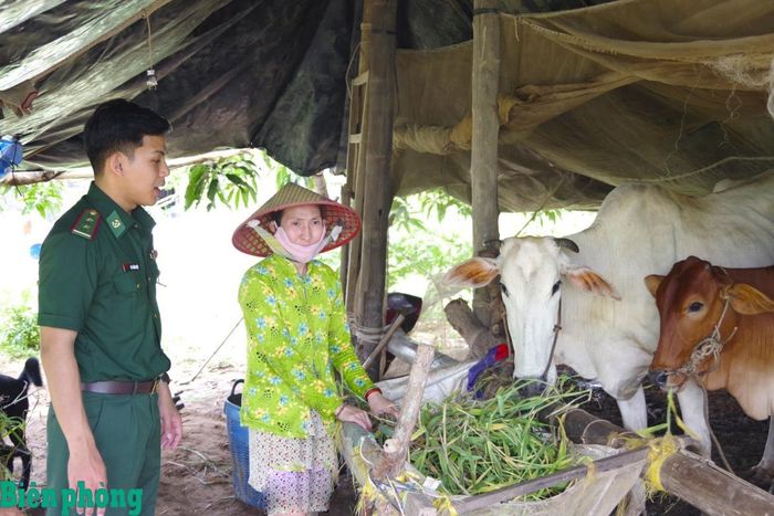 Cán bộ Đồn Biên phòng Cổ Chiên thường xuyên đến kiểm tra, động viên người dân chăm sóc bò do đơn vị hỗ trợ. Ảnh: Lê Khoa