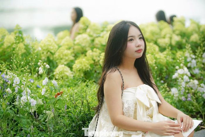 Nhiều bạn trẻ lựa chọn dạo phố và lưu giữ những khoảnh khắc rộn ràng trong không khí Tết Độc lập.