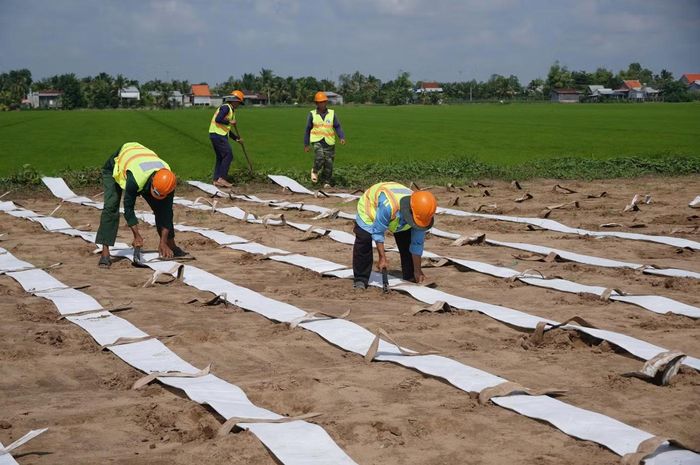 Ông Nguyễn Văn Út Nhỏ (xã Thới Lai, TP Cần Thơ) cho biết, những ngày tăng ca làm việc từ 7h đến 19h, có hôm đến 20h. Dịp lễ Quốc khánh năm nay, ông cùng các công nhân vẫn vui vẻ ở lại công trường làm việc.