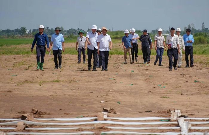 Lãnh đạo UBND TP. Cần Thơ kiểm tra dự án.