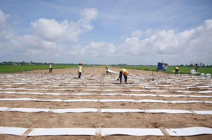 Dự án có 5 gói thầu xây lắp, tiến độ thi công đạt khoảng 62% khối lượng hợp đồng. Kế hoạch vốn năm 2026 đã giải ngân hơn 58%, lũy kế giải ngân đến nay đạt gần 94%.