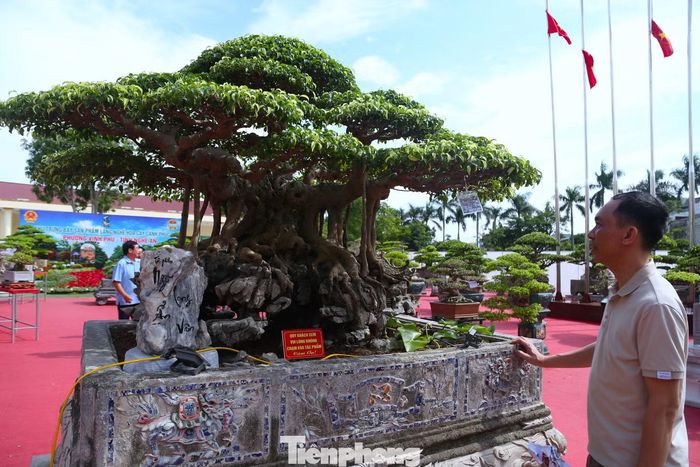  Một tác phẩm khác gây ấn tượng là cây sanh mọc trên đá “Ngũ long ẩn vân”﻿. Anh Nguyễn Đình Quý (trú xã Hưng Nguyên, Nghệ An) cho biết, cây được mua lại từ một người chơi ở TP Hồ Chí Minh trước khi người này sang nước ngoài định cư. Khi mới mua, cây chưa mọc trên đá như hiện nay. Sau nhiều năm chăm sóc, uốn nắn, anh Quý đưa bộ rễ bám vào đá, tạo thế cây tự nhiên, vững chãi. Tác phẩm được điểm xuyết bằng tiểu cảnh mái đình, gợi không gian làng quê Việt Nam thu nhỏ. 