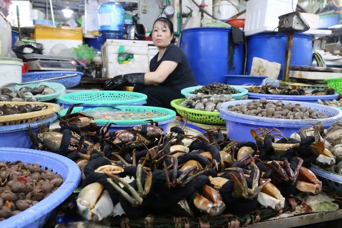 Điều đáng chú ý, dù lượng khách tăng cao trong kỳ nghỉ lễ, giá nhiều loại hải sản tại chợ Cái Dăm không có biến động lớn so với ngày thường.